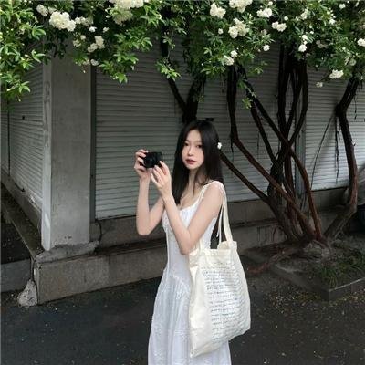安妮·李斯特的秘密日记